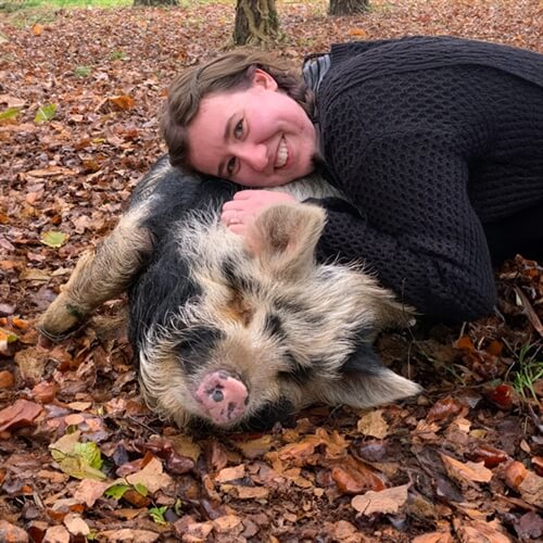 Pig Experience in Norfolk for Two